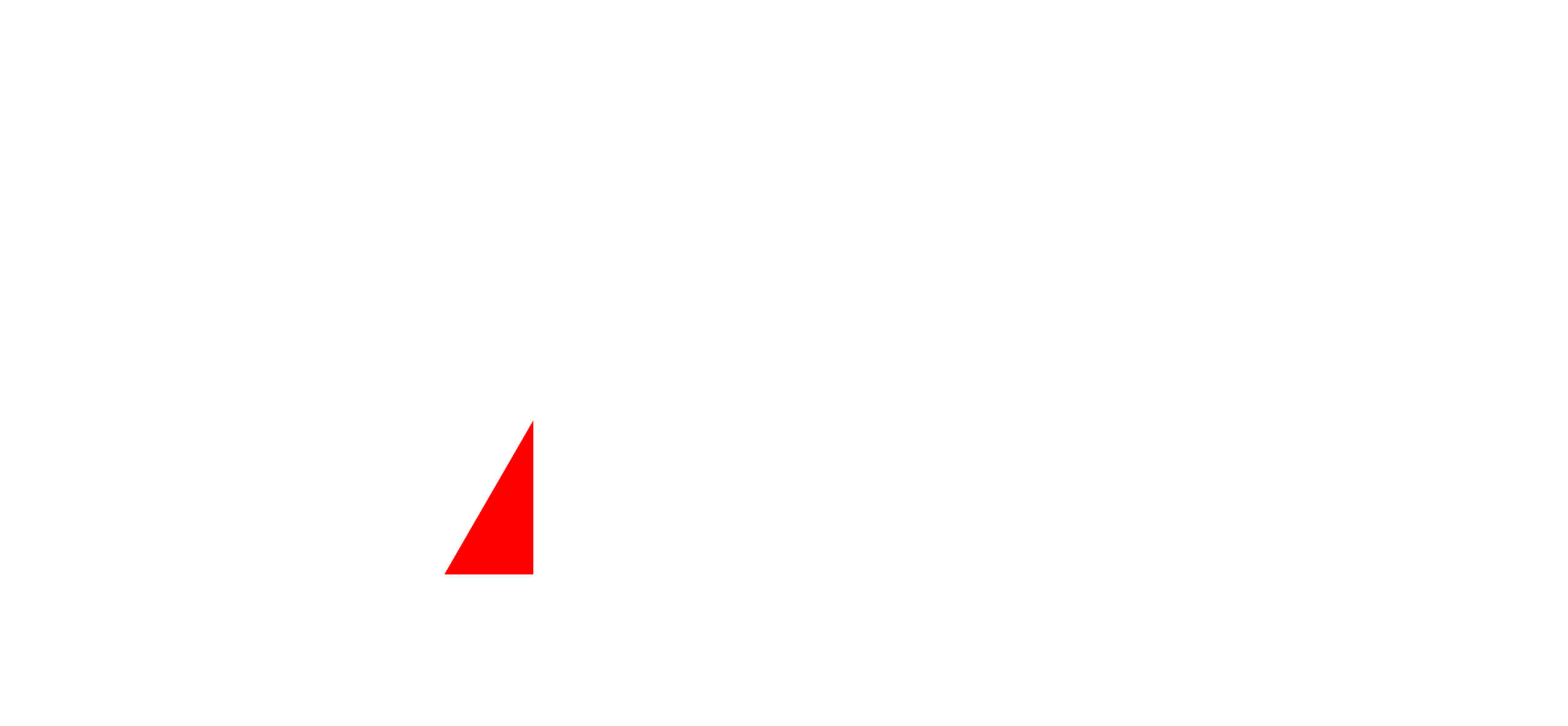 81 MUSIC FESTIVAL